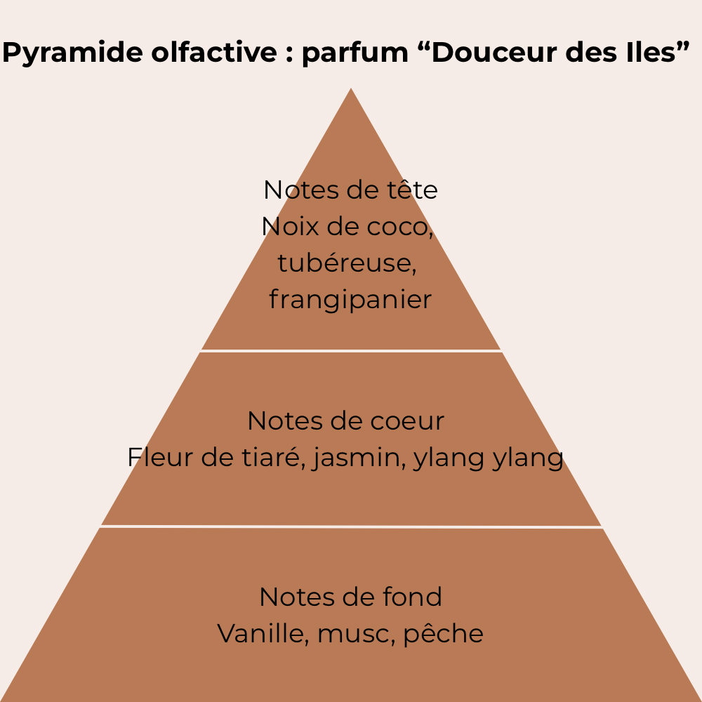 pyramide regroupant les note du parfum douceur des iles