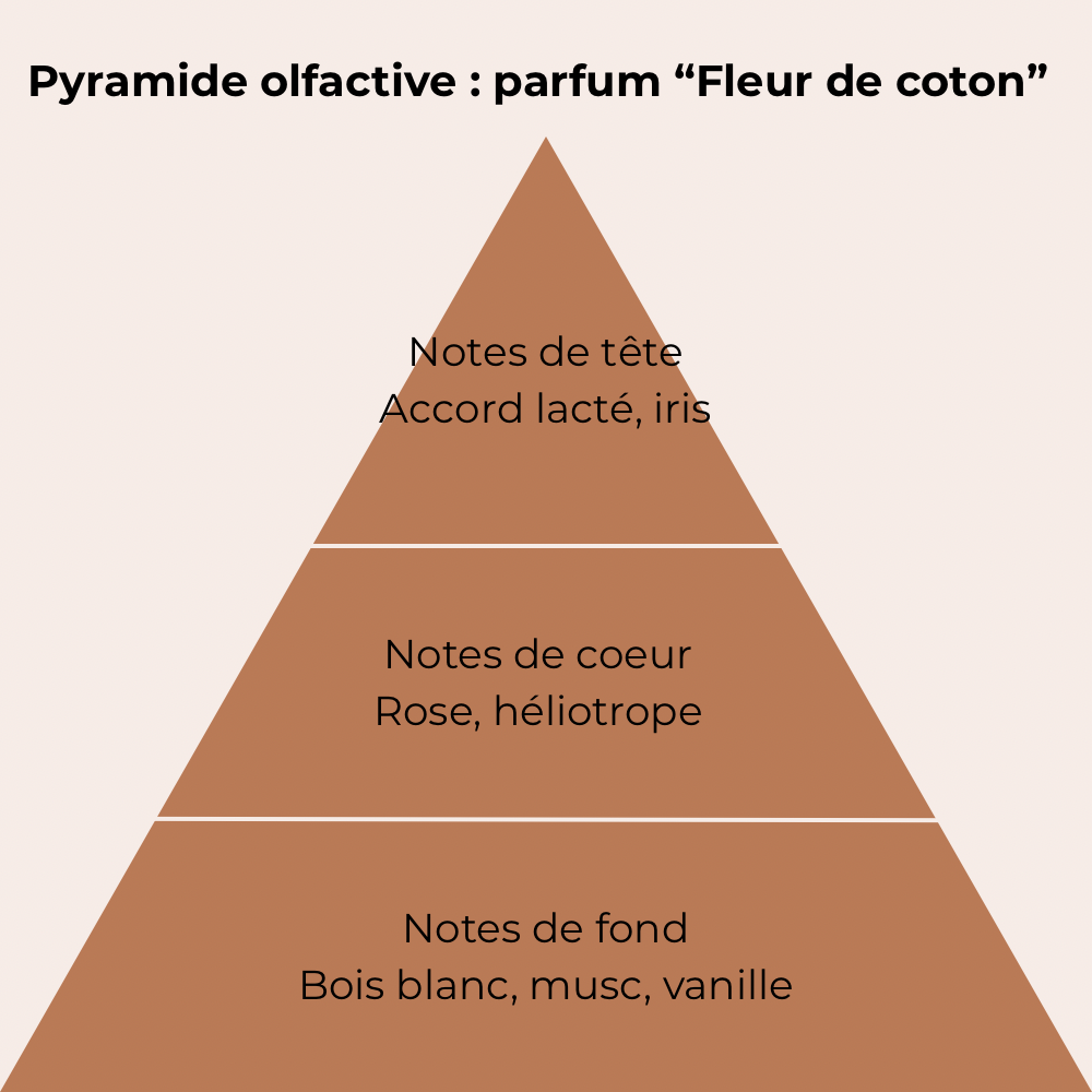Pyramide regroupant les note du parfum fleur de coton