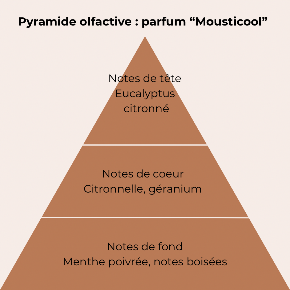 pyramide regroupant les notes du parfum mousticool
