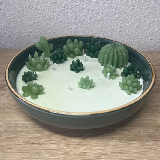 Cactus d'olivier